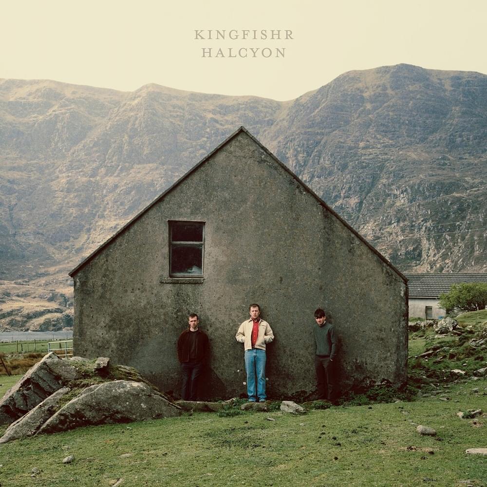 Kingfisher - 11 & 12 June Cork